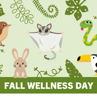 Fall wellness day